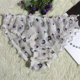Translucent Silk Triangle Panties for Women JTLFABFASHION