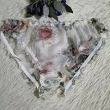 Translucent Silk Triangle Panties for Women JTLFABFASHION