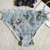 Translucent Silk Triangle Panties for Women JTLFABFASHION