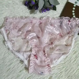 Translucent Silk Triangle Panties for Women JTLFABFASHION